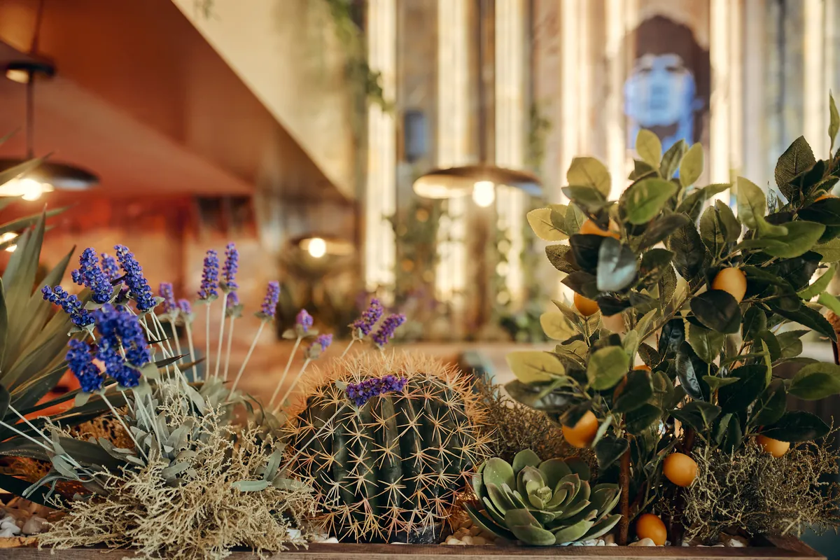 Dekor: saksije, topla stenska svetilka, zelišča in citrus.